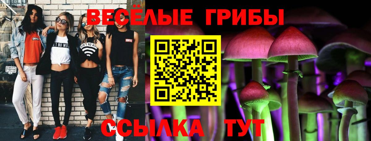 Галлюциногенные грибы прущие грибы  Галлюциногенные грибы GOLDEN TEACHER  Вход с VPN  Тихорецк 